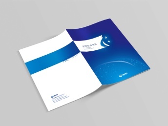 专业设计服务 从网站到图文的全面解决方案