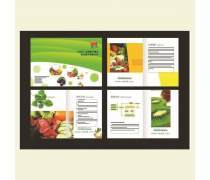 图文平面设计热卖促销 专业制作，助力品牌腾飞